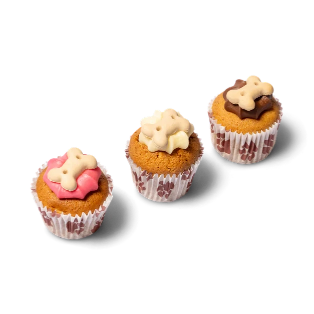 Barking Bakery Mini Iced Trios