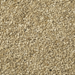 Johnson & Jeff Sunflower Hearts