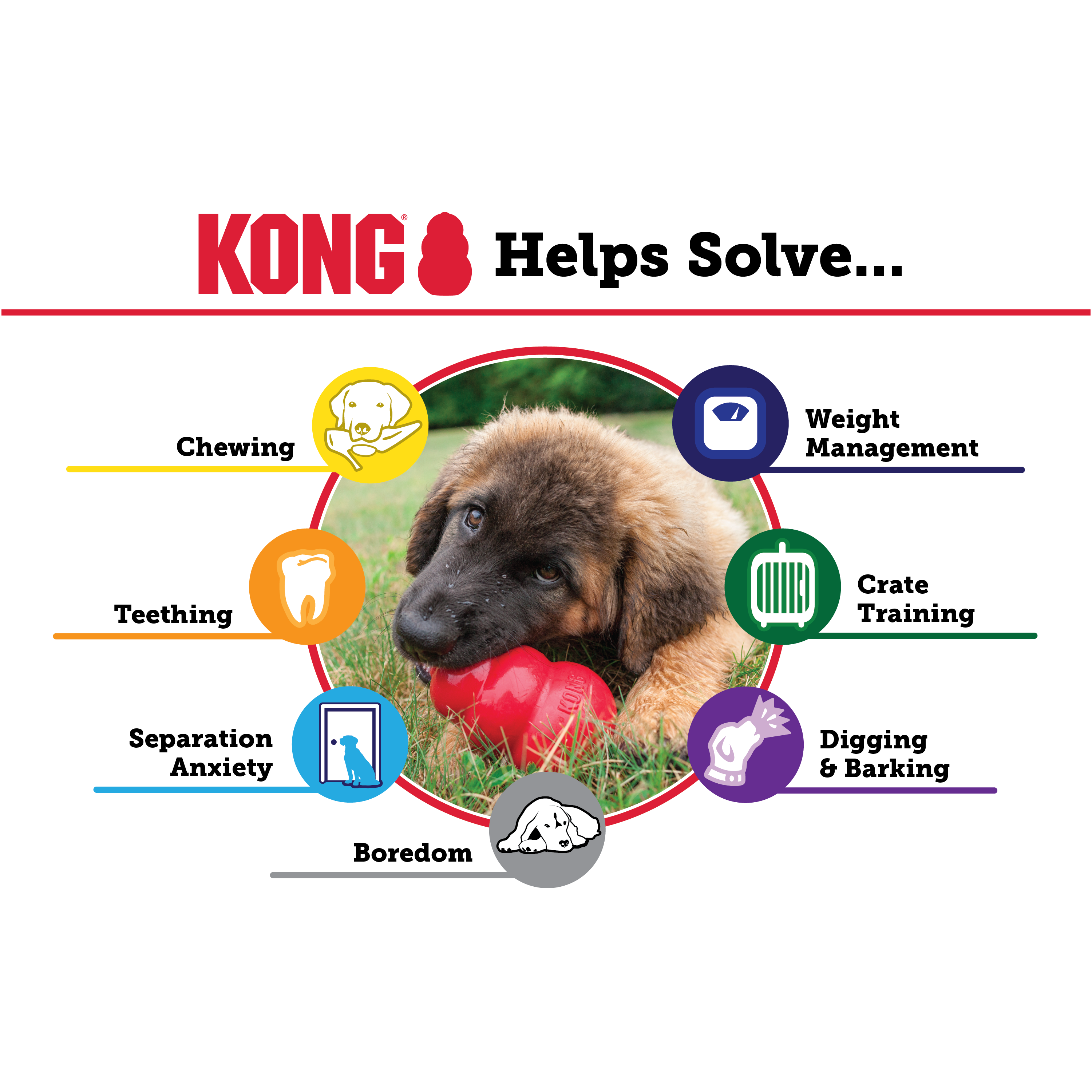 KONG Puppy Kong Pink/Blue X-Small