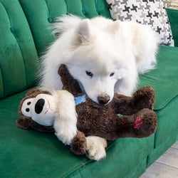 Wild Knots Bear Jumbo XL