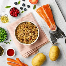 Naturo Grain Free Salmon Wet Dog Food 400g