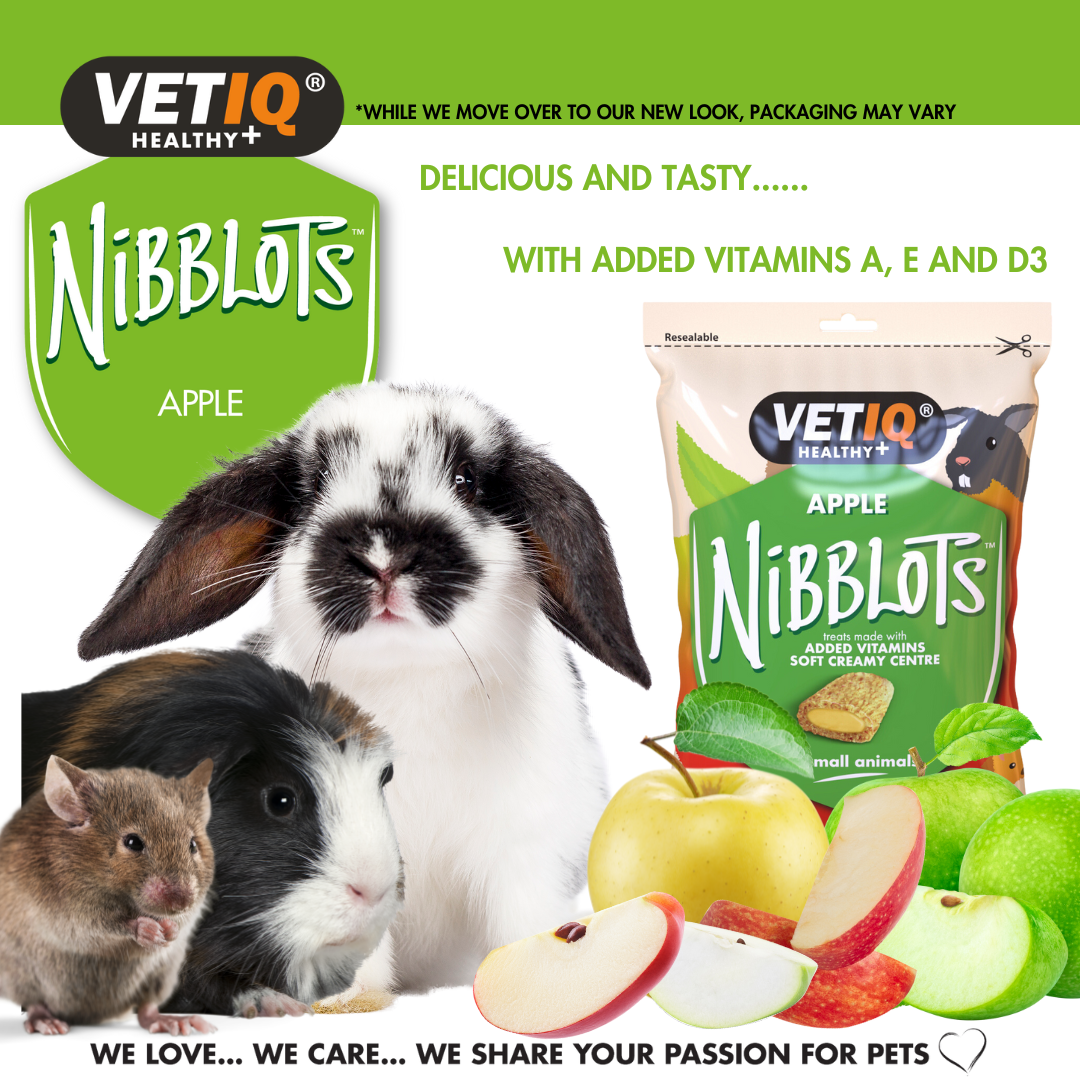 VETIQ Nibblots Apple Treats for Small Animals 30g