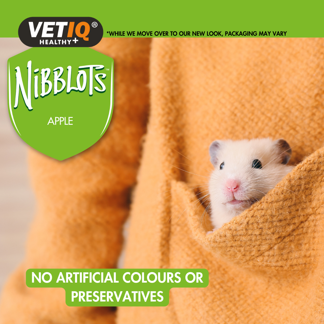 VETIQ Nibblots Apple Treats for Small Animals 30g