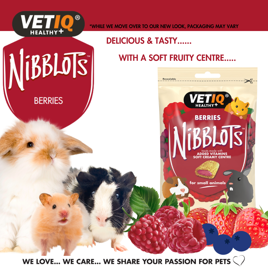 VETIQ Nibblots Berry Treats for Small Animals 30g