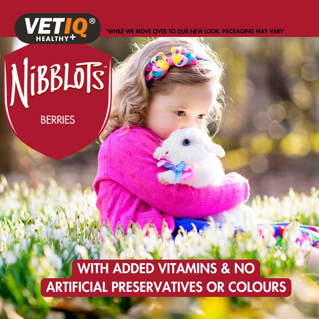 VETIQ Nibblots Berry Treats for Small Animals 30g