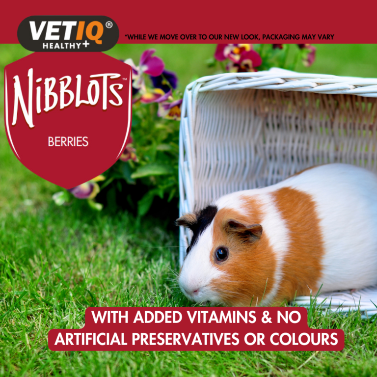 VETIQ Nibblots Berry Treats for Small Animals 30g