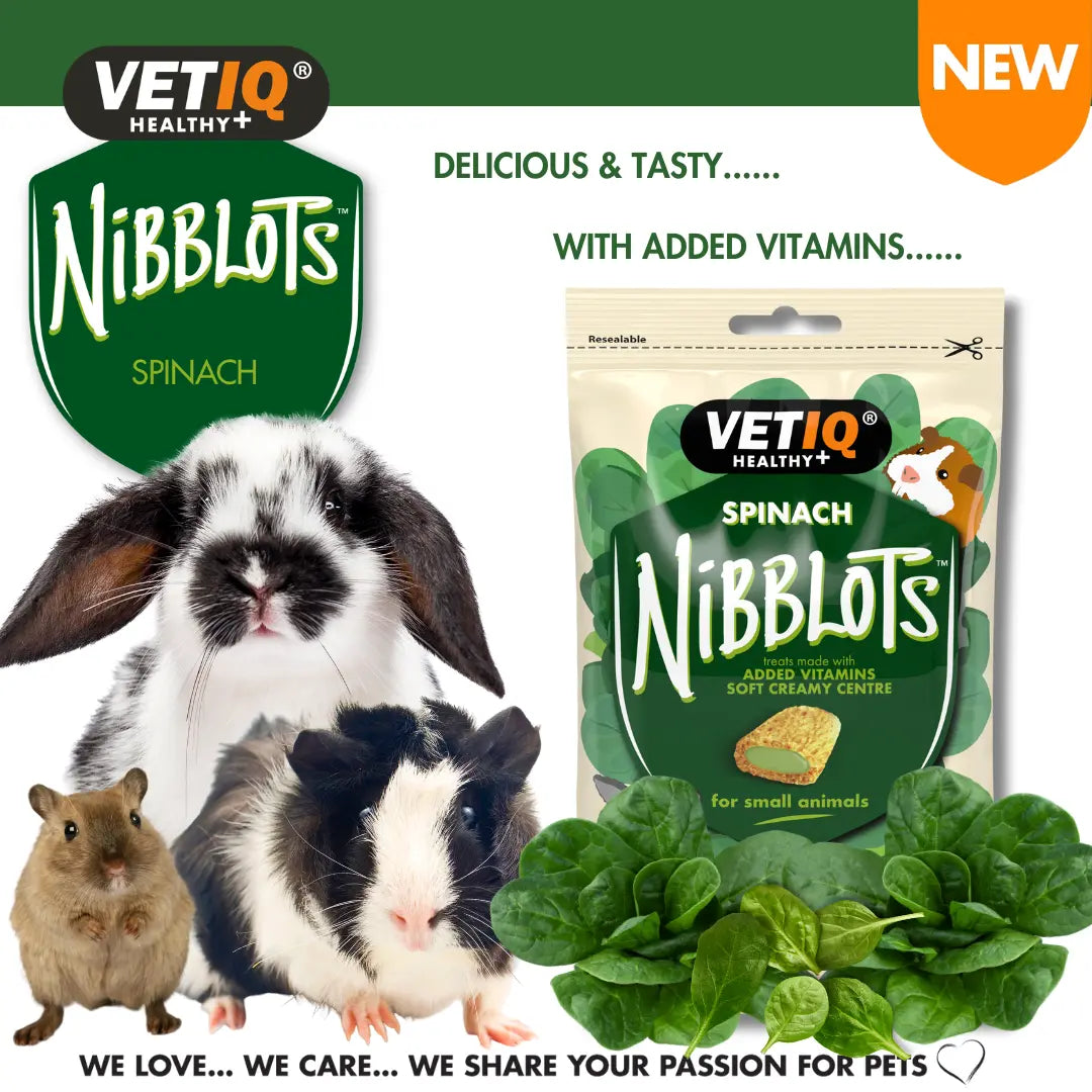 VETIQ Nibblots Spinach Treats for Small Animals 30g