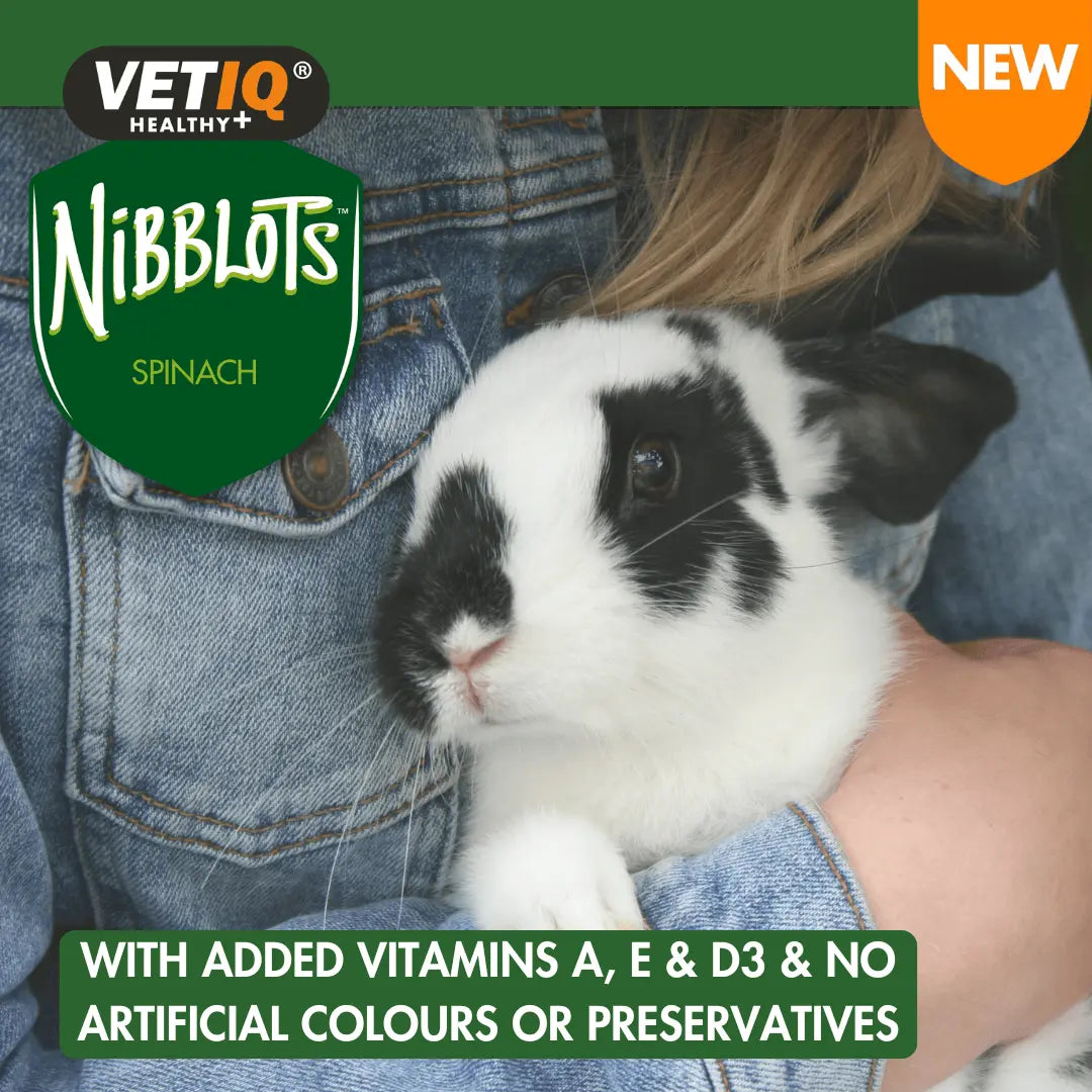 VETIQ Nibblots Spinach Treats for Small Animals 30g