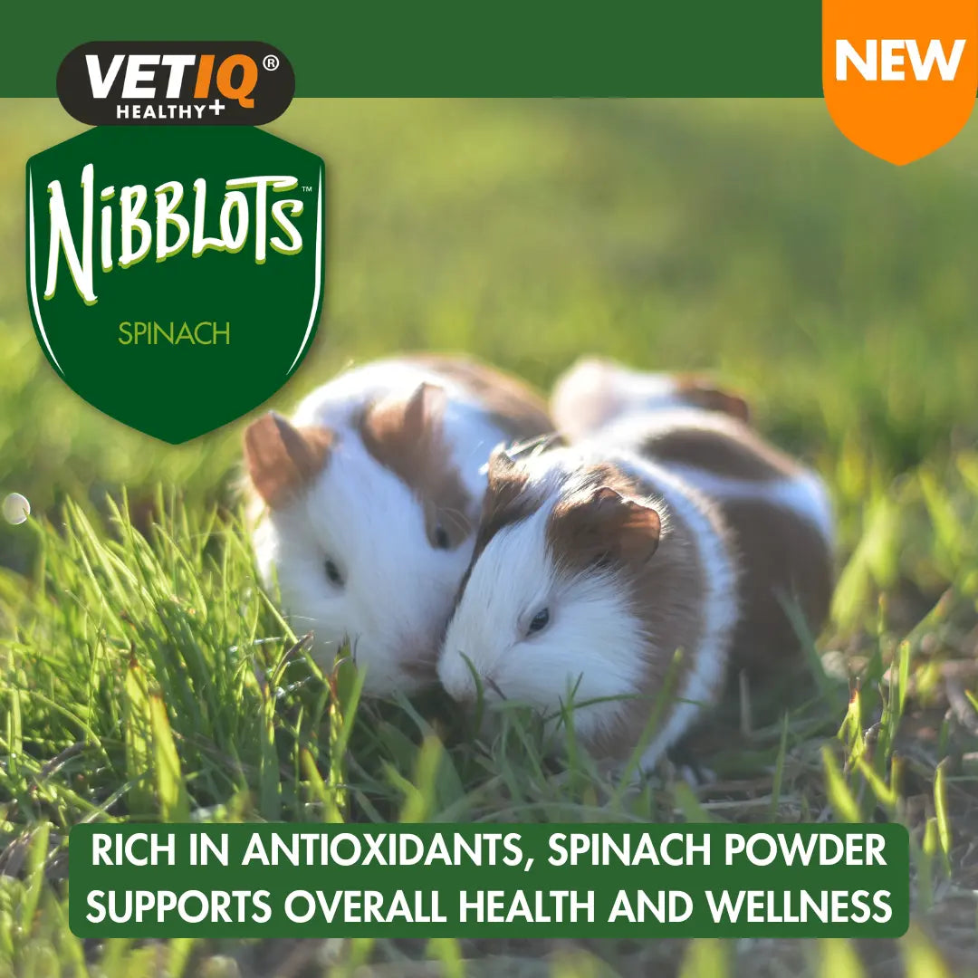 VETIQ Nibblots Spinach Treats for Small Animals 30g