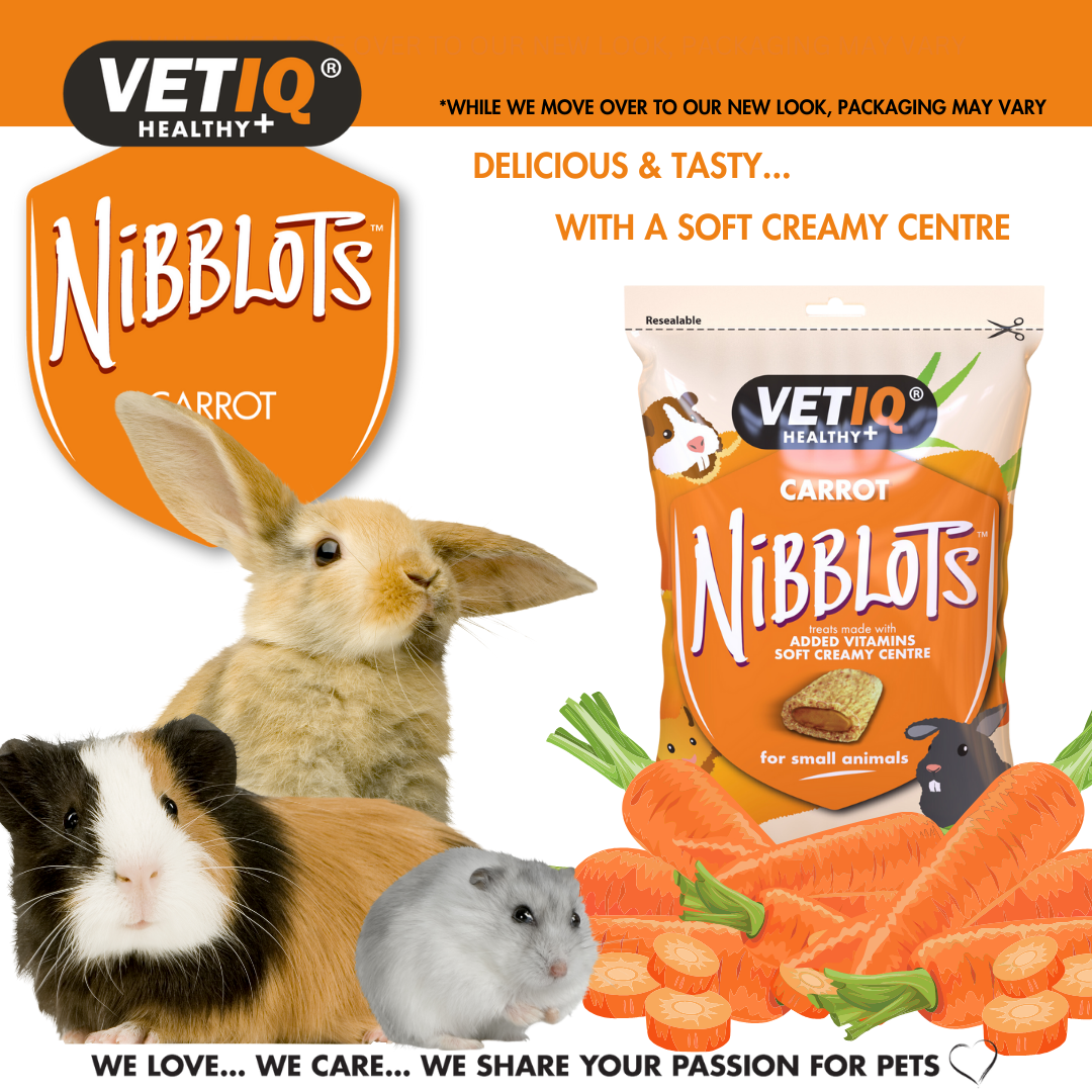 VETIQ Nibblots Carrot Treats for Small Animals 30g
