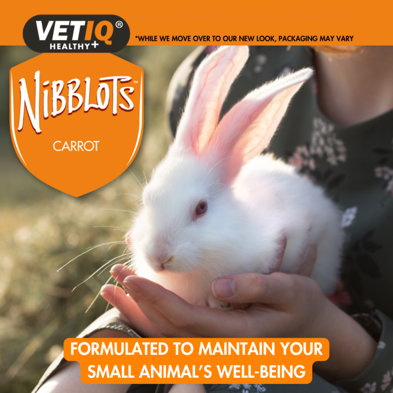 VETIQ Nibblots Carrot Treats for Small Animals 30g