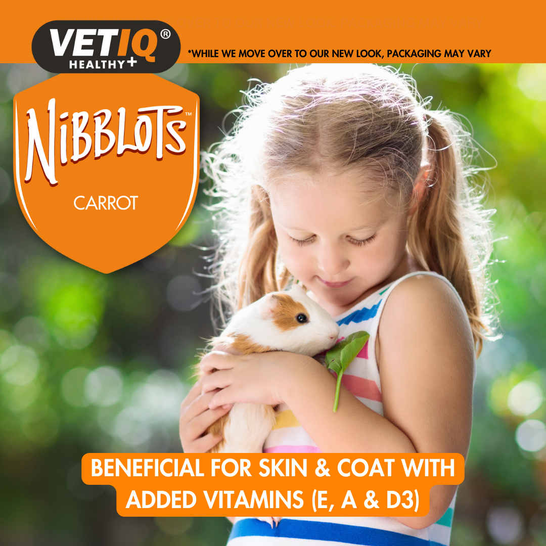 VETIQ Nibblots Carrot Treats for Small Animals 30g