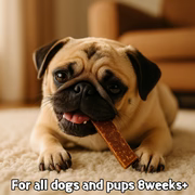 PARK LiFE Dog Jerky Original Steak Flavour 70g