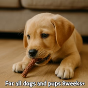 Park Life Pupperoni Chews Pork Flavour 70g