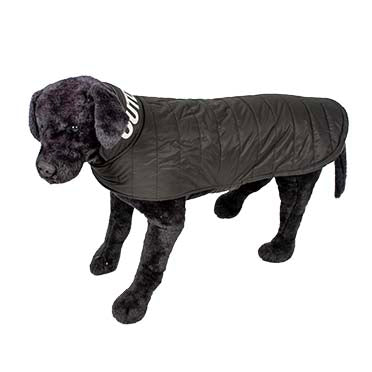 Dog Jacket Puffer Outdoor