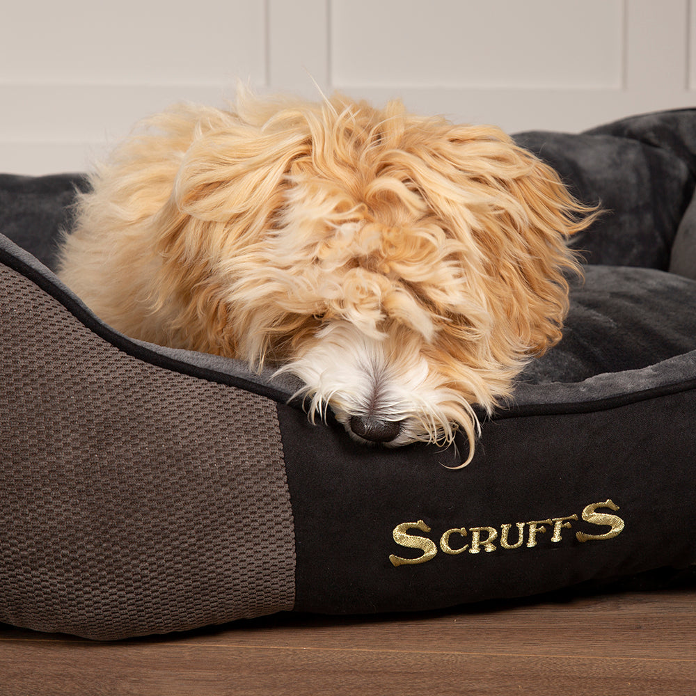 Scruffs Scruffs Chester Box Bed Graphite