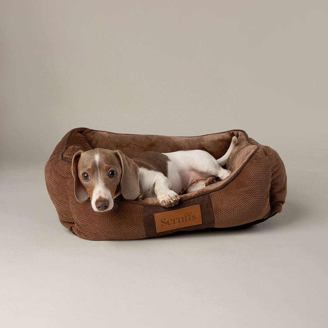 Scruffs Chester Box Dog Chocolate Brown