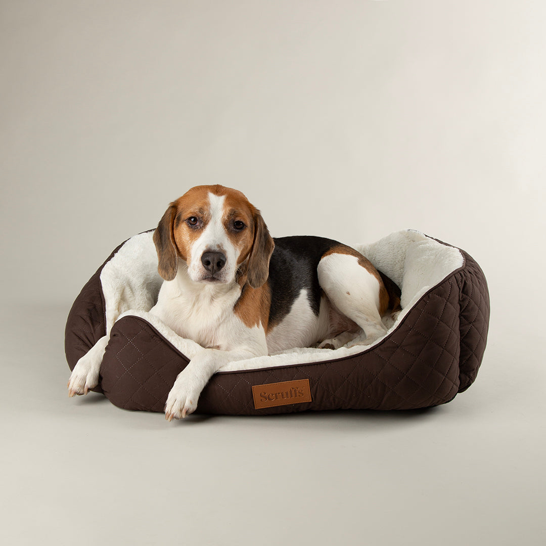 Scruffs Wilton Bed Chocolate