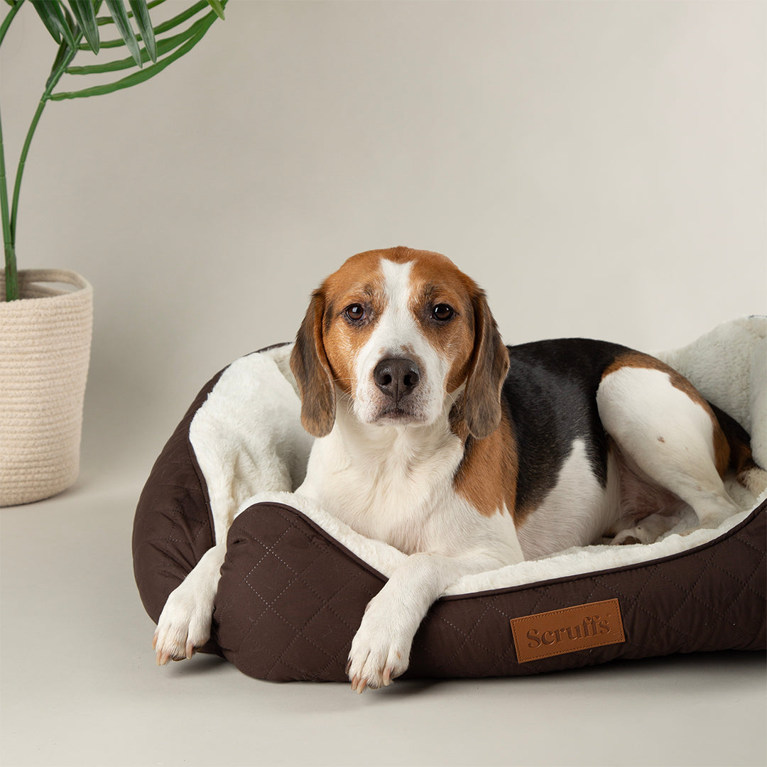 Scruffs Wilton Bed Chocolate