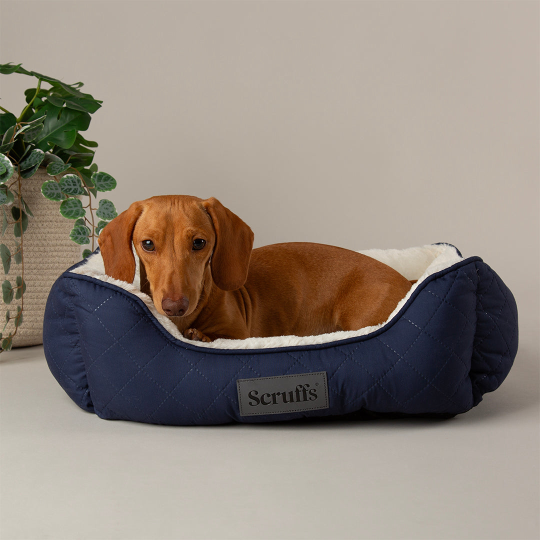 Scruffs Wilton Bed Navy Blue