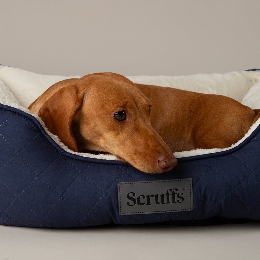 Scruffs Wilton Bed Navy Blue