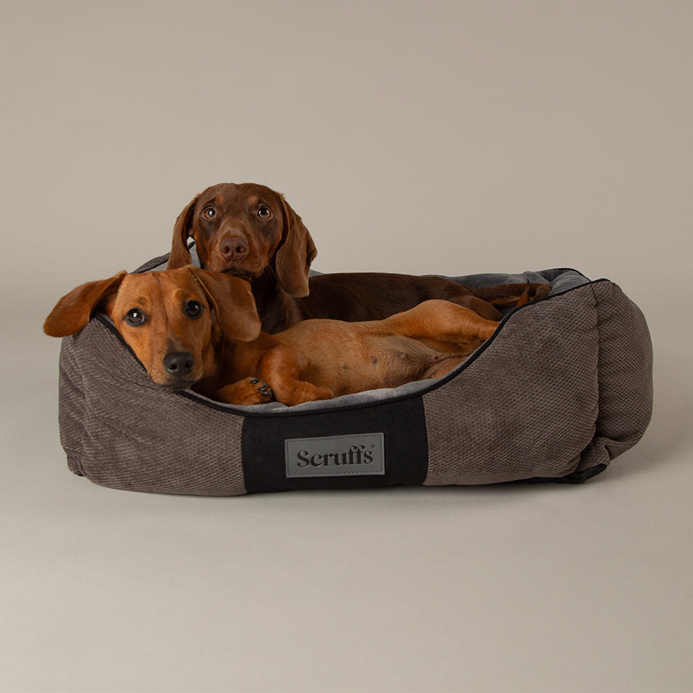 Scruffs Scruffs Chester Box Bed Graphite
