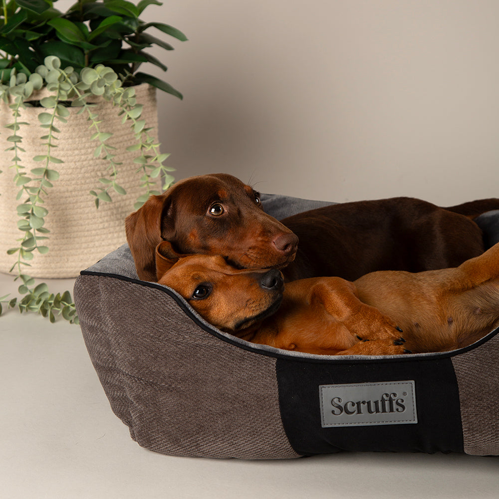 Scruffs Scruffs Chester Box Bed Graphite