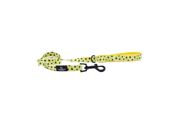 ANCOL SOHO SUNFLOWER LEAD 100CM X 19MM