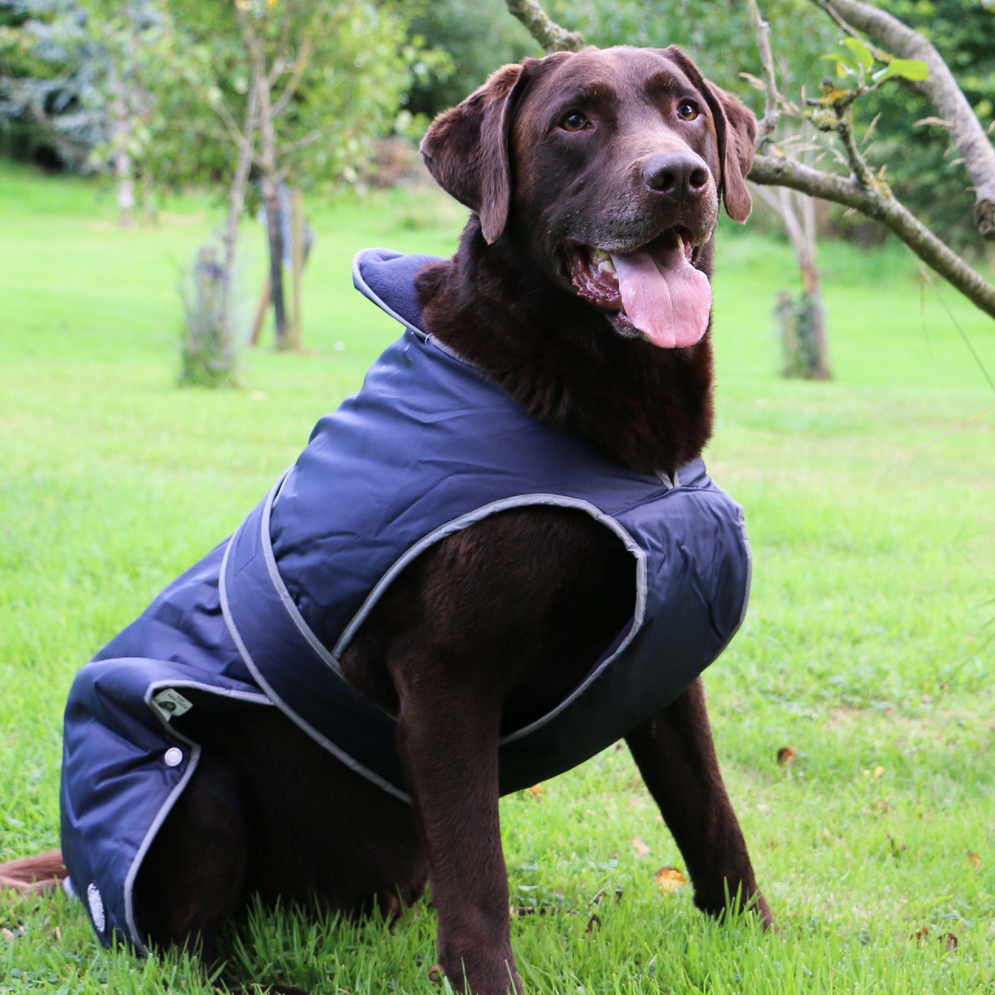 Stormguard Dog Coat Navy