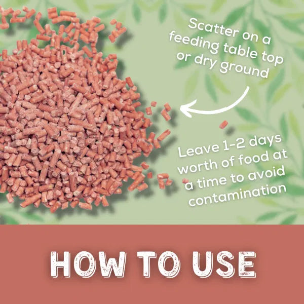 Copdock Mill Suet Pellets - with berries 12.75kg