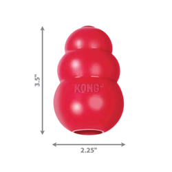 KONG Classic