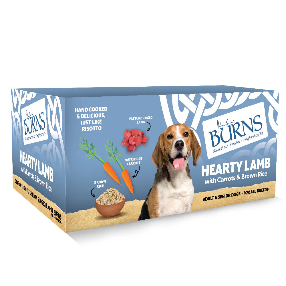 Burns Hearty Lamb with Carrots & Brown Rice Wet Dog Food 150g