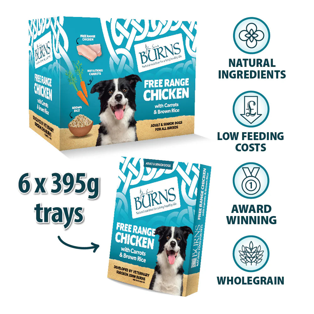 Burns Free Range Chicken with Carrots & Brown Rice Wet Dog Food 395g