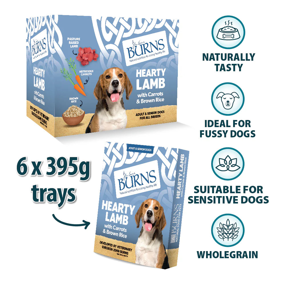 Burns Hearty Lamb with Carrots & Brown Rice Wet Dog Food 395g