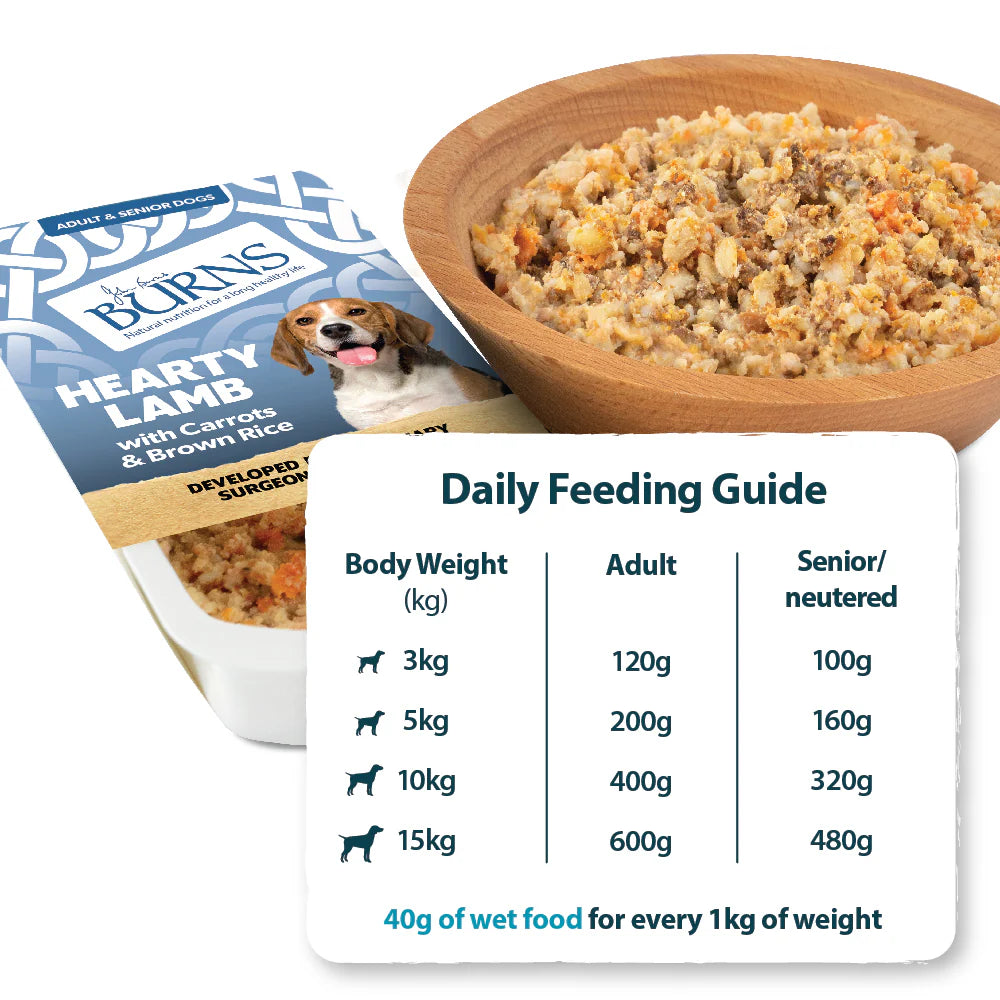 Burns Hearty Lamb with Carrots & Brown Rice Wet Dog Food 395g