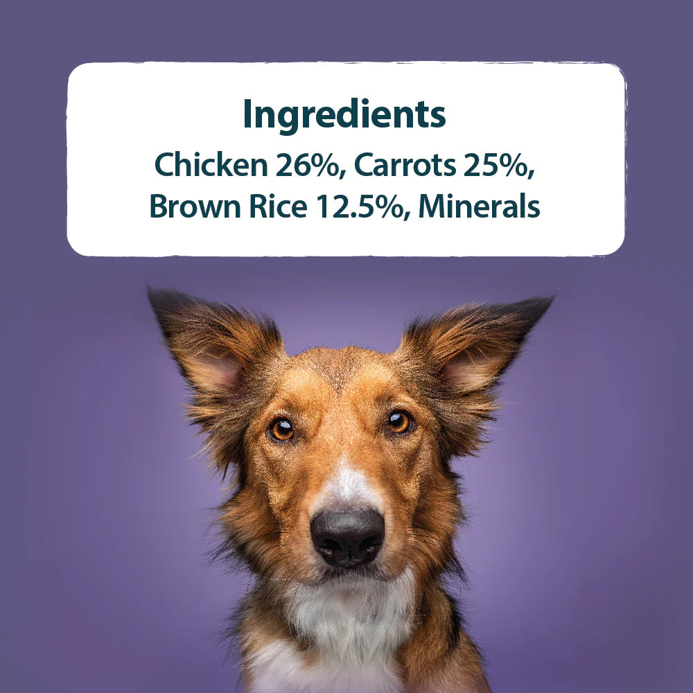 Burns Free Range Chicken with Carrots & Brown Rice Wet Dog Food 395g