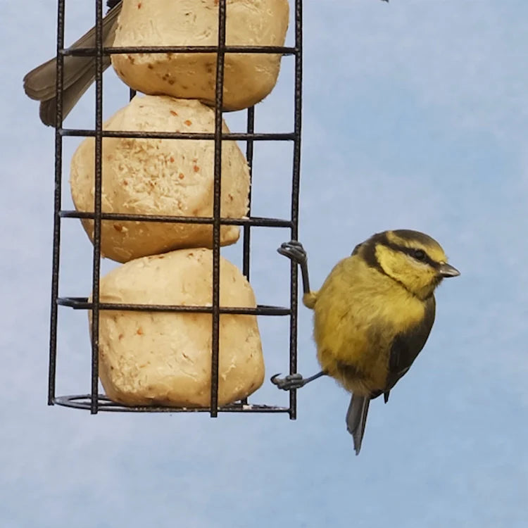 Super Premium Suet Balls 12pk