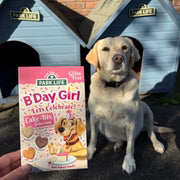 Park Life Cake-Bix B'Day Girl Cake Selection 240g