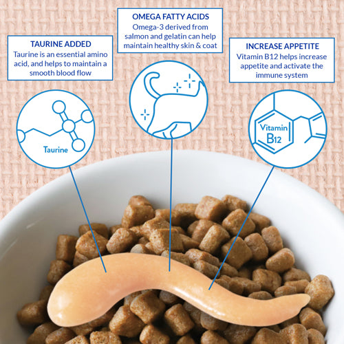 Ciao Meal Topper Cat Tuna with Salmon Recipe