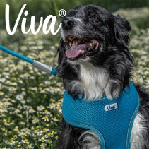 Ancol Viva Comfort Mesh Dog Harness Blue