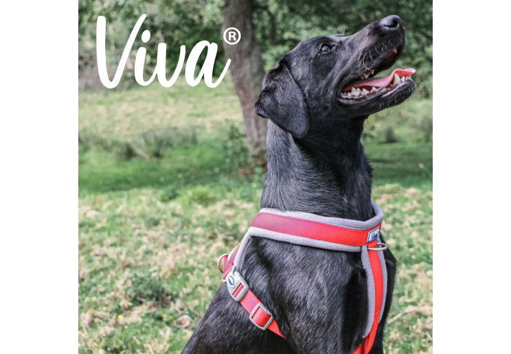 Ancol Viva Padded Harness Red