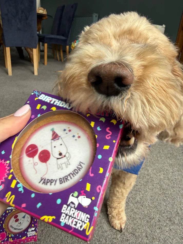 Barking Bakery Birthday Disc