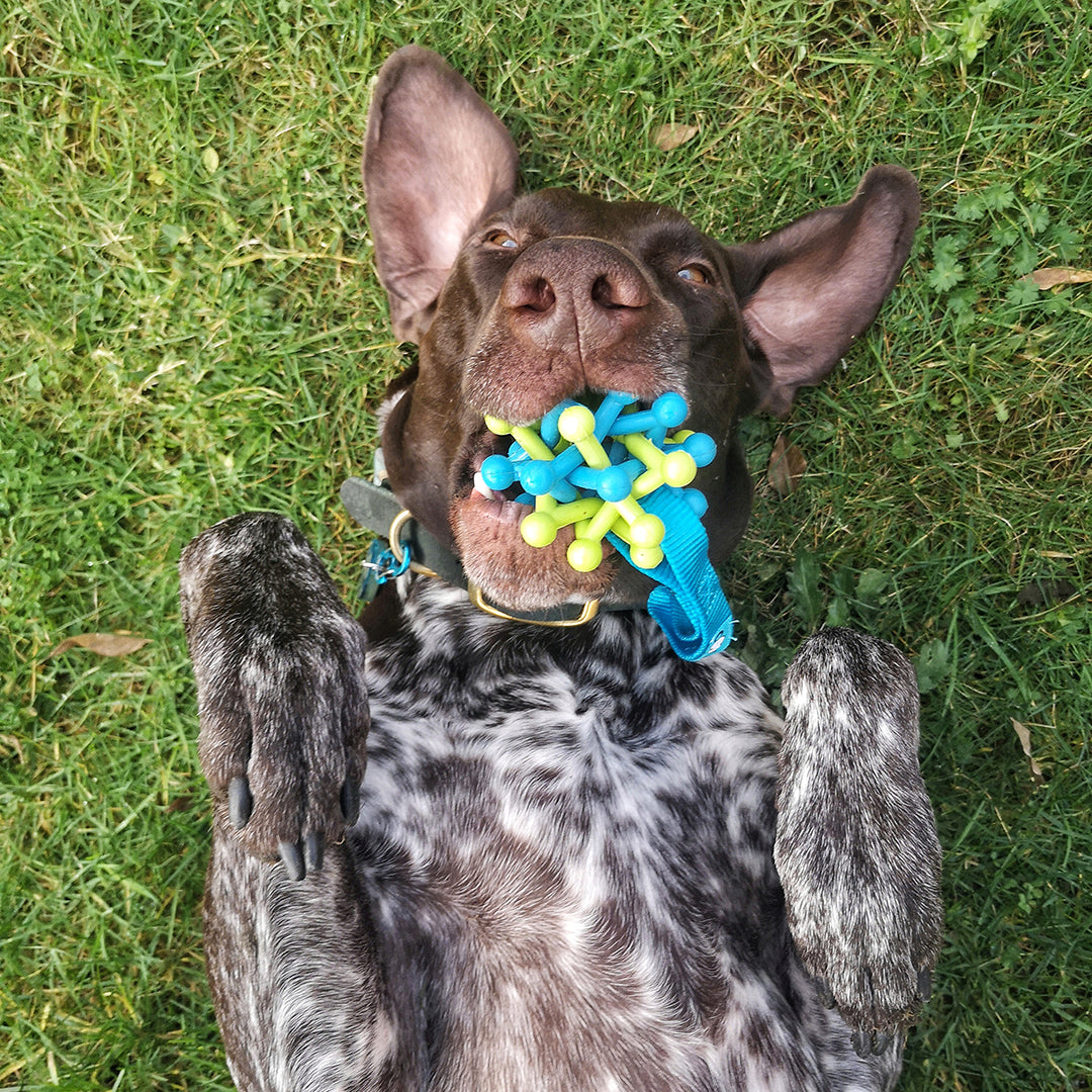 Coockoo Zane Woven Rubber Ball Dog Toy - Blue & Green