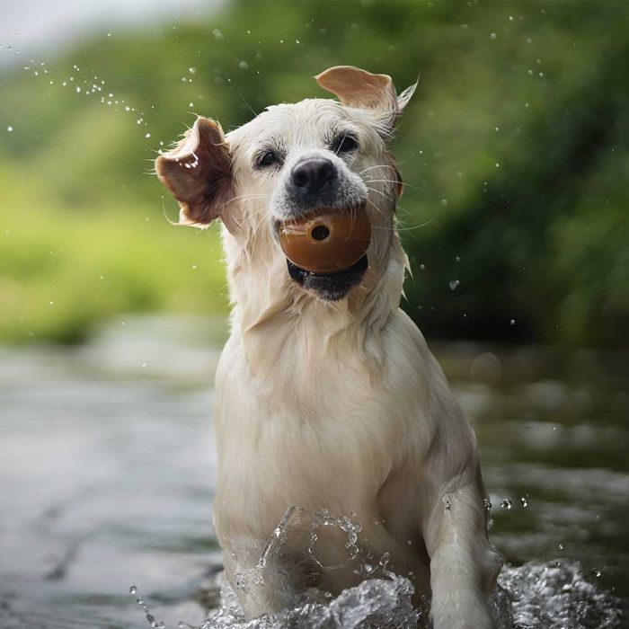 Retorn Rub Ball Large