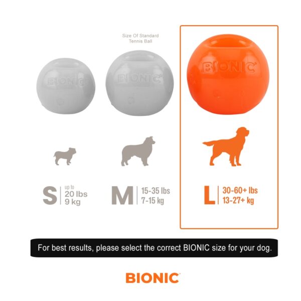 BIONIC BALL
