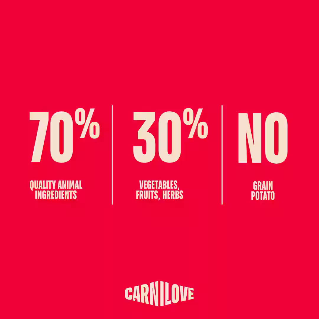 Carnilove Lamb & Wild Boar  Grain Free Adult Dog Food 12kg