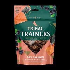 Tribal Trainers Salmon & Blackberry  80g