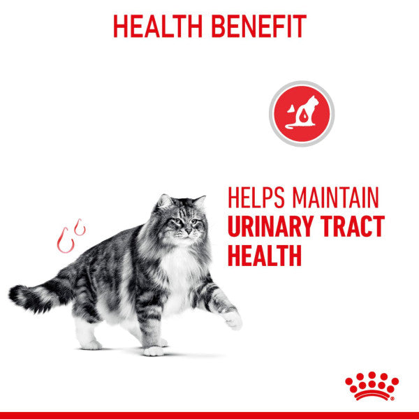 Royal Canin Feline Urinary Care 2kg