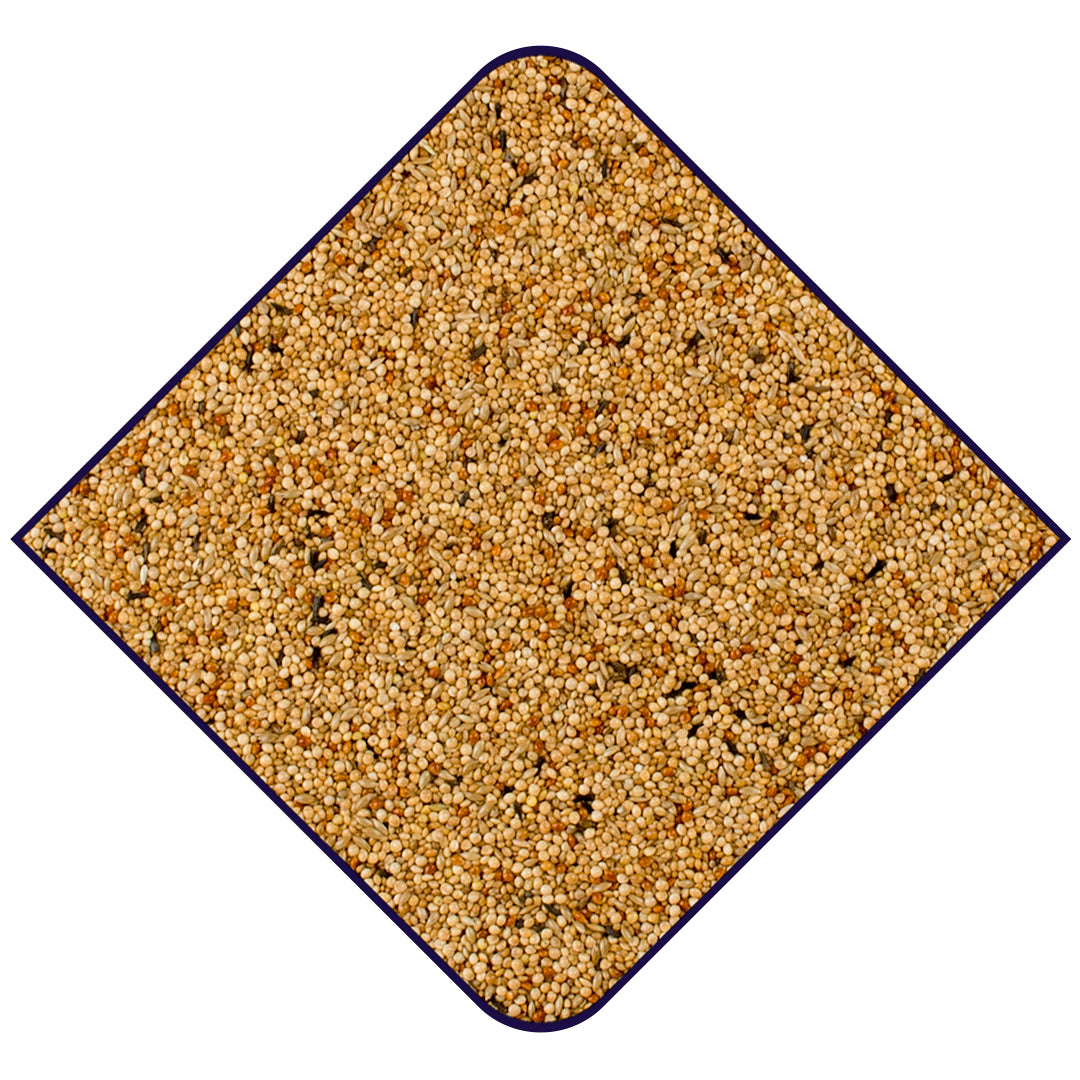 Expert Foreign Finch Seed 20kg