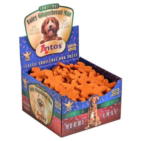 Antos Fairy Gingerbread Man - 80% Chicken Training Treats
